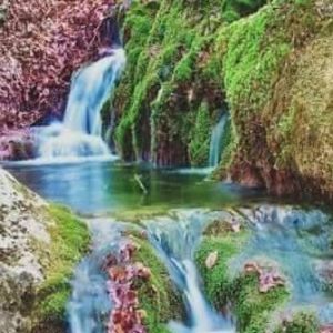 Meet your Posher, Mai